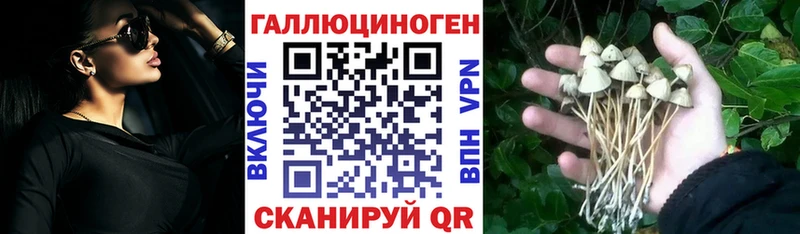 Галлюциногенные грибы Psilocybine cubensis  маркетплейс состав  Углегорск  цены наркотик 
